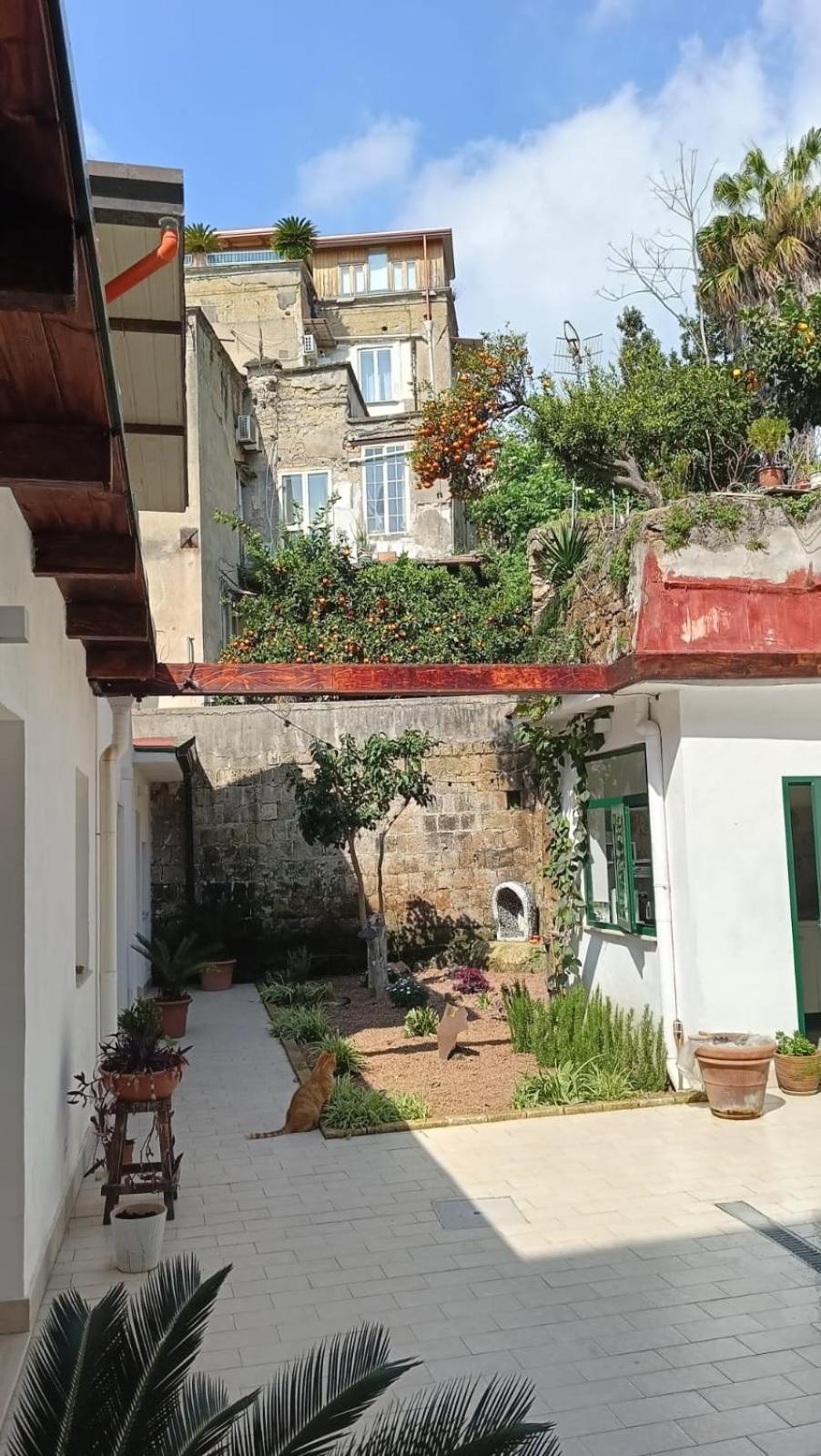 La Puteca Bed & Breakfast Napoli Ngoại thất bức ảnh